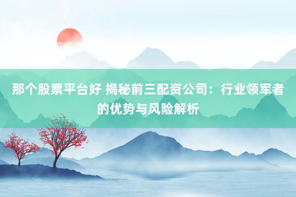 那个股票平台好 揭秘前三配资公司：行业领军者的优势与风险解析