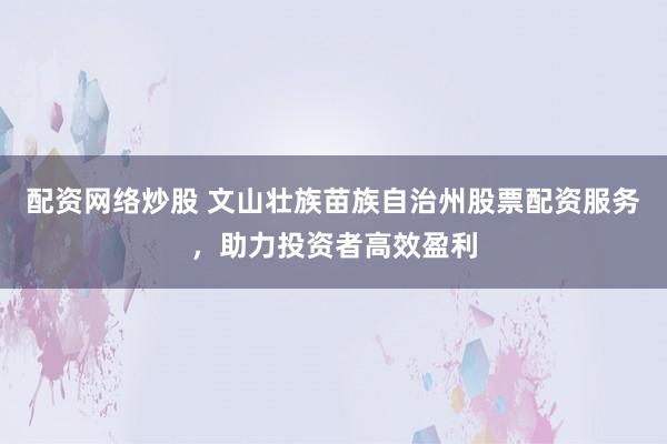 配资网络炒股 文山壮族苗族自治州股票配资服务，助力投资者高效盈利