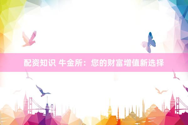 配资知识 牛金所：您的财富增值新选择